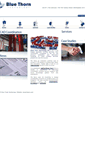 Mobile Screenshot of bluethorn.co.uk